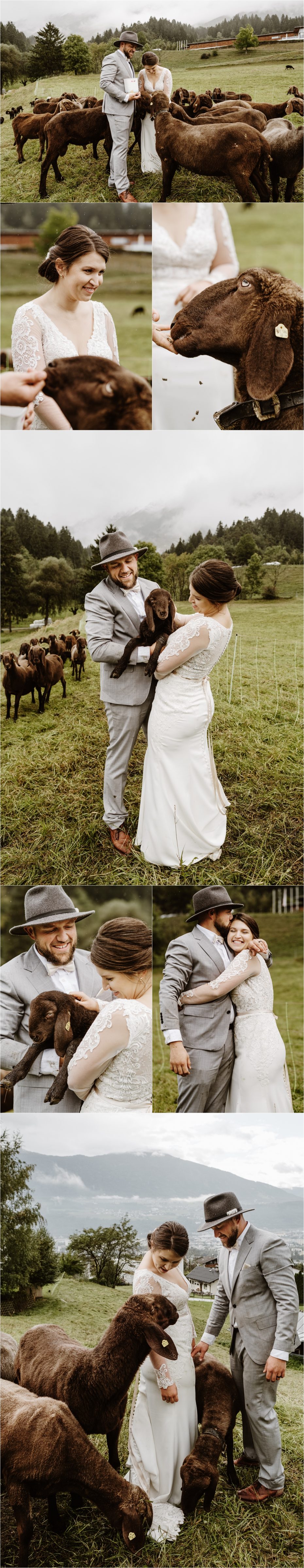Bride and groom visit a sheep farm on their wedding day in Austria. Photos by Wild Connections Photography