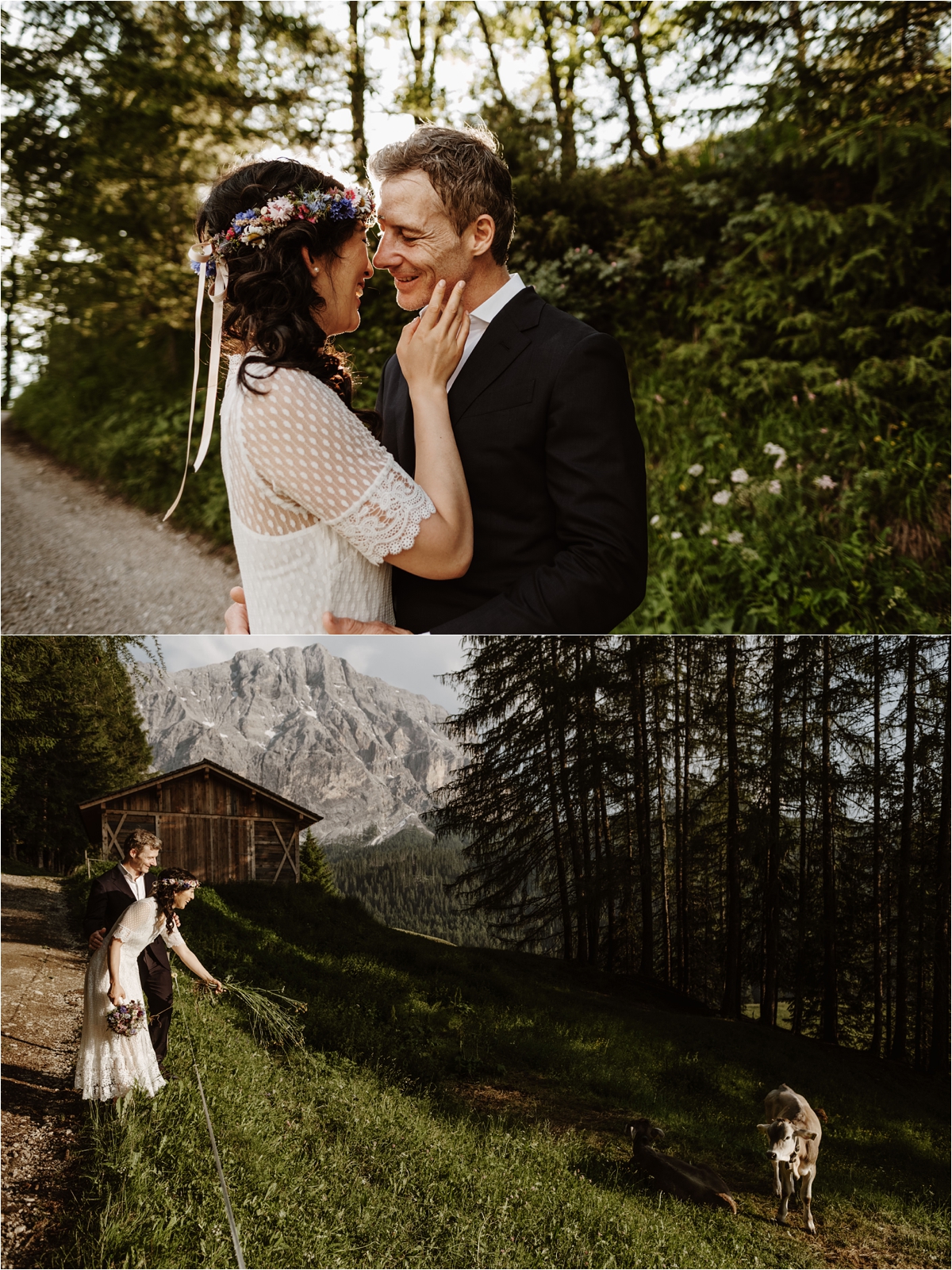 The bride and groom find baby cows in a meadow in the Dolomites. Photo by Wild Connections Photography