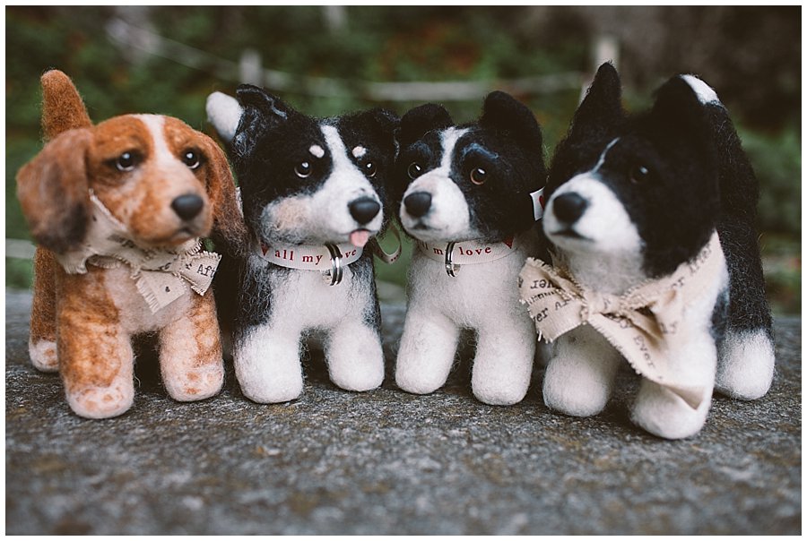 St Johann in Tirol Elopement the four shelter pups dogs by Wild Connections Photography