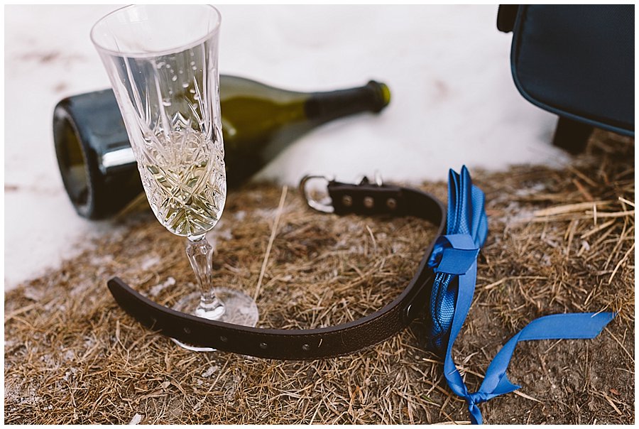 A dog collar, an empty champagne bottle and a glass of champagne lie on the floor