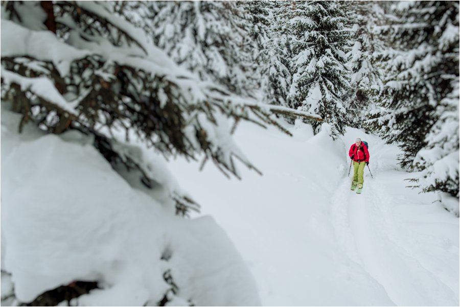 A female skier ski touring through the trees in deep snow by Wild Connections Photography