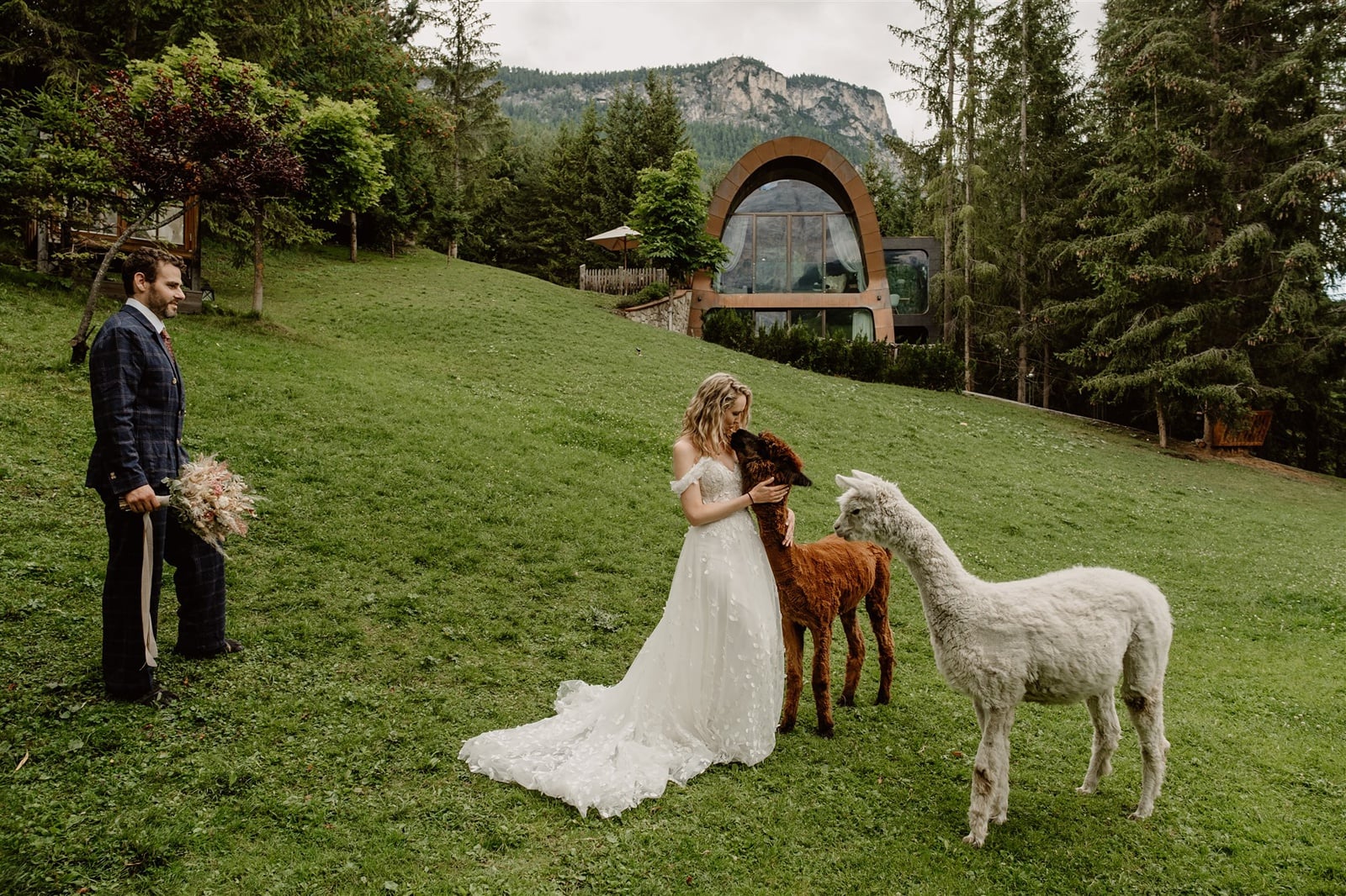 Mi Chalet alpacas with bride and groom for their Dolomites elopement