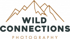 Wild Connections Photography